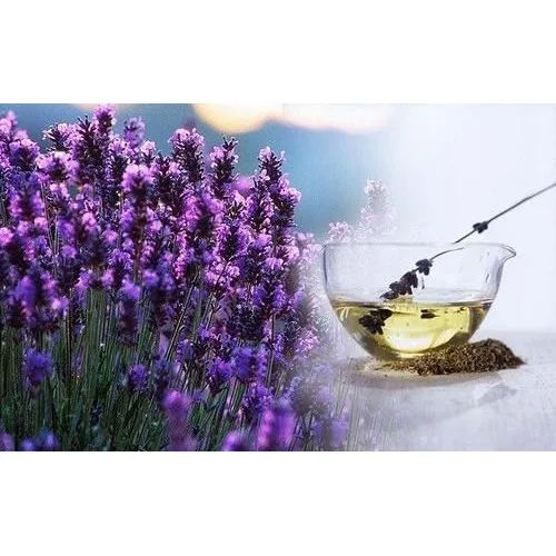 Lavender Fragrance - Suitable For: Daily Use