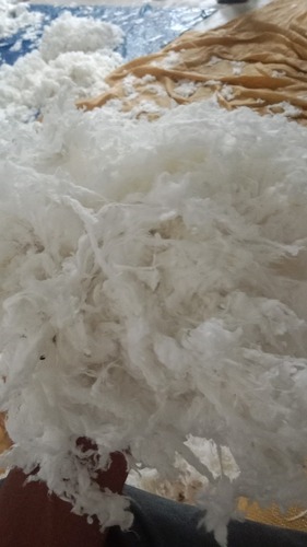 Bleach Cotton