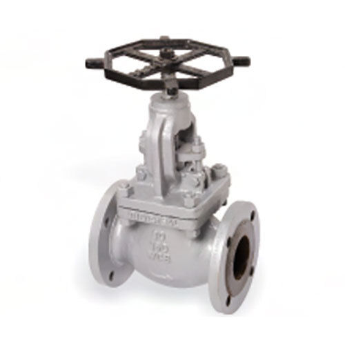 CI and CS Globe Valve