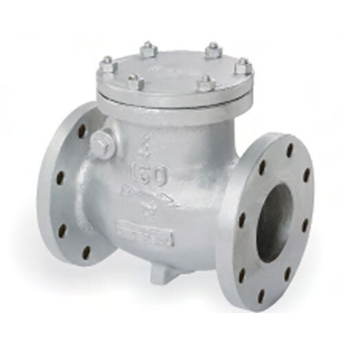 CI and CS Check Valve