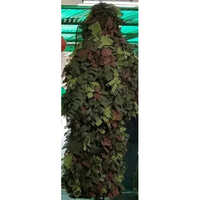 Ghillie Suit Army (thermal) - Color: Green