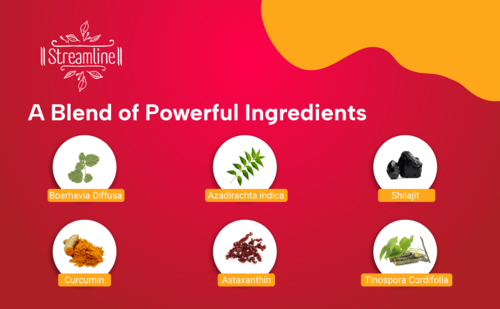 Streamline Dabicut Capsules - Herbal Dietary Supplement For Blood Sugar Management | Supports Insulin Sensitivity, Reduces Sugar Absorption, Promotes Metabolic Health, Antioxidant Benefits