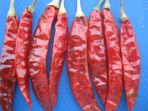 सूखी मिर्च