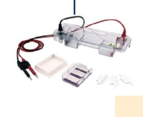 HORIZONTAL MINI GEL ELECTROPHORESIS, Model : AMBI-HGLS-1520M