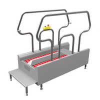 Sole Cleaning Machine - Application: Industrial