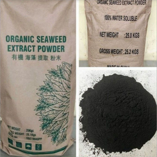 Organic Seaweed Extract Powder - Purity(%): 98%