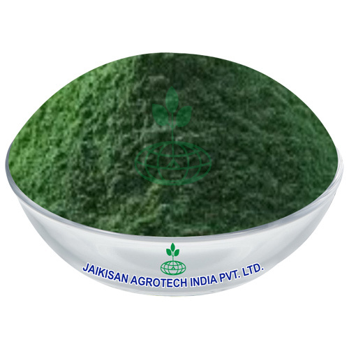 Green Seaweed Powder