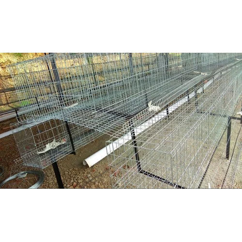 TWO Tier California Layer Cage