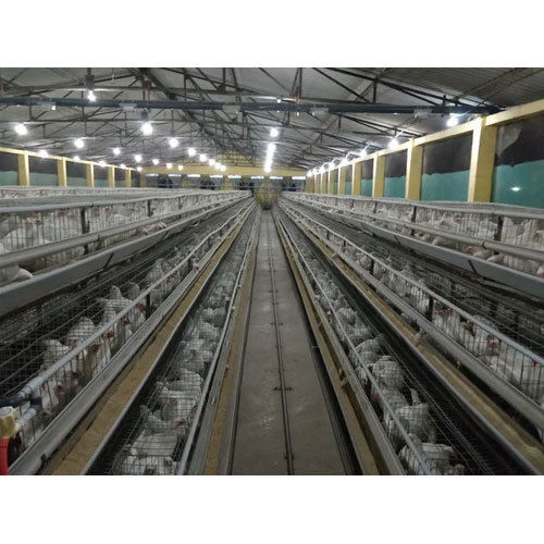 Omega Poultry Cage - Material: Steel