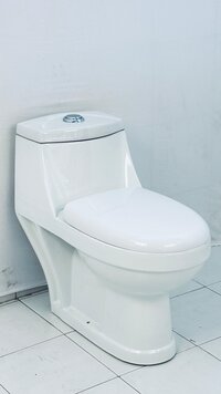 Gulf One Piece Toilet