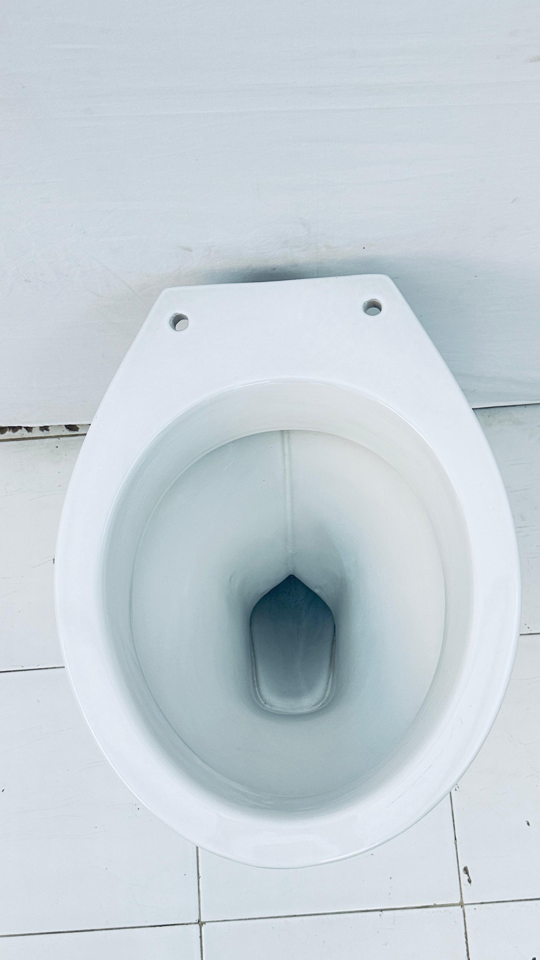 Concealed Water Closet - Ceramic, 460x360x375mm , Round Shape, Wall Mounted, Elegant Gloss Or Matte Finish Options