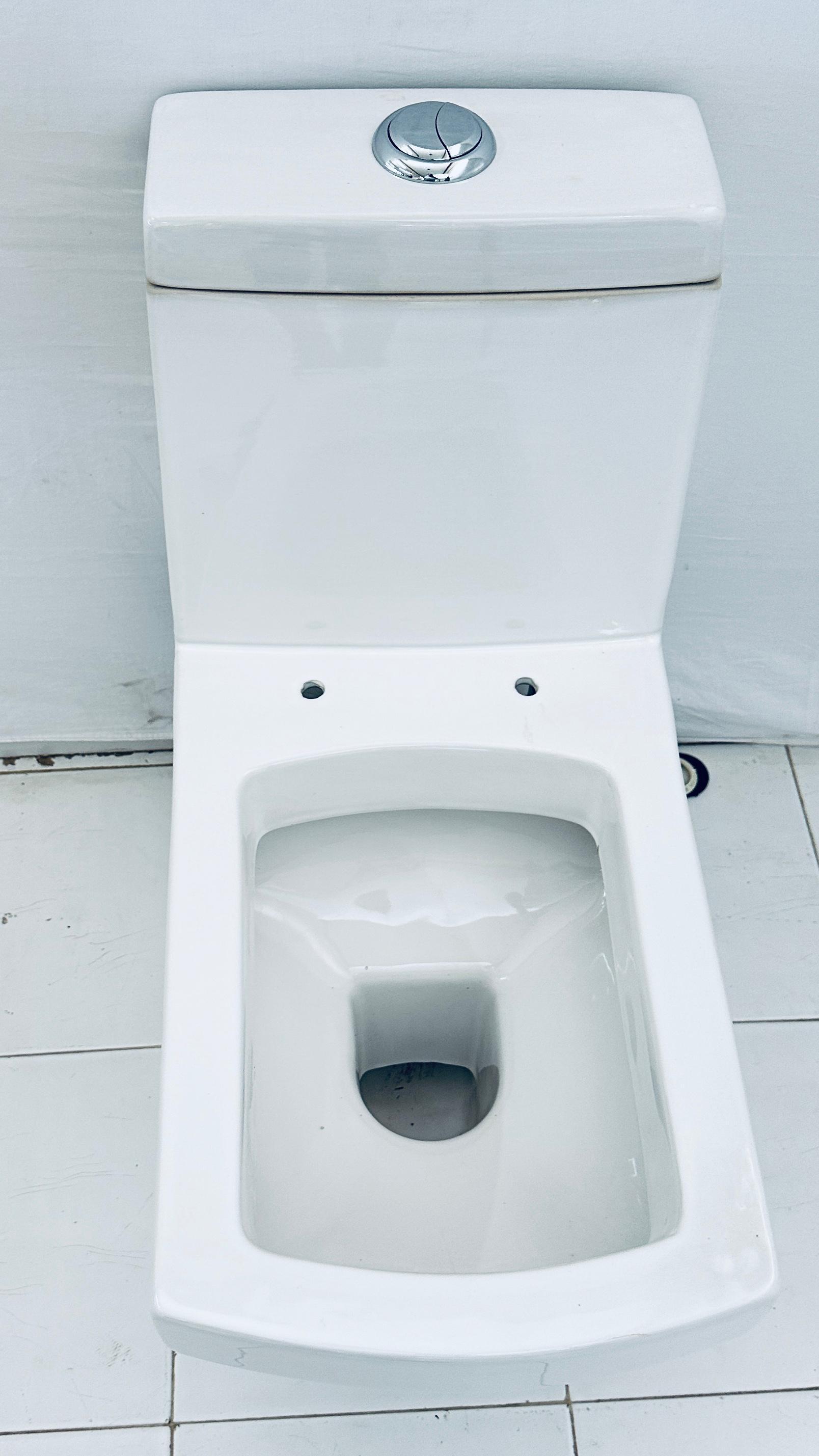 White One Piece Toilet