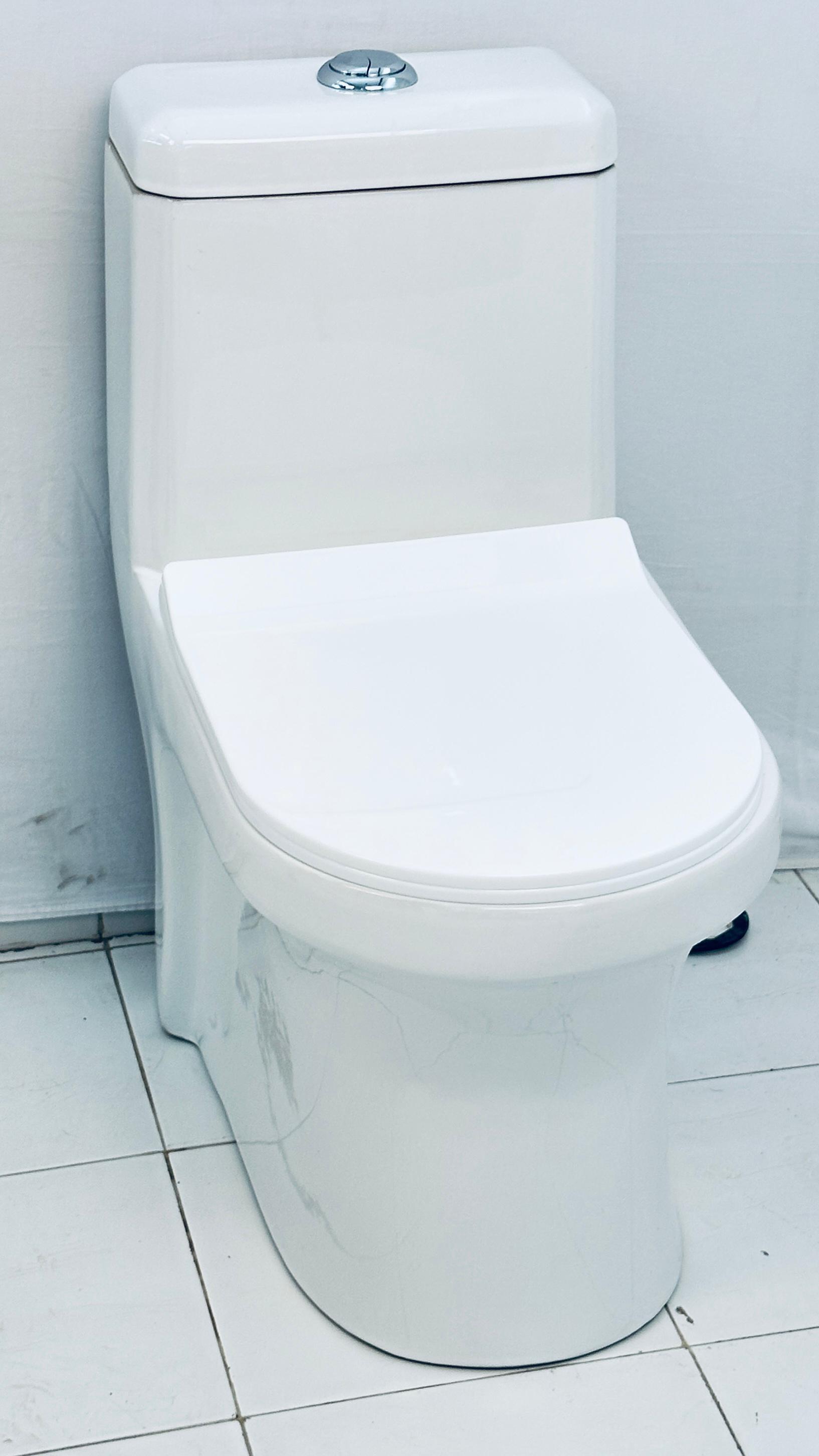 Toilet One Piece Water Closet