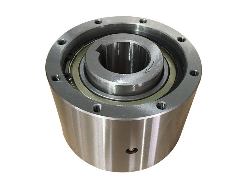 Cam Clutch Bearing