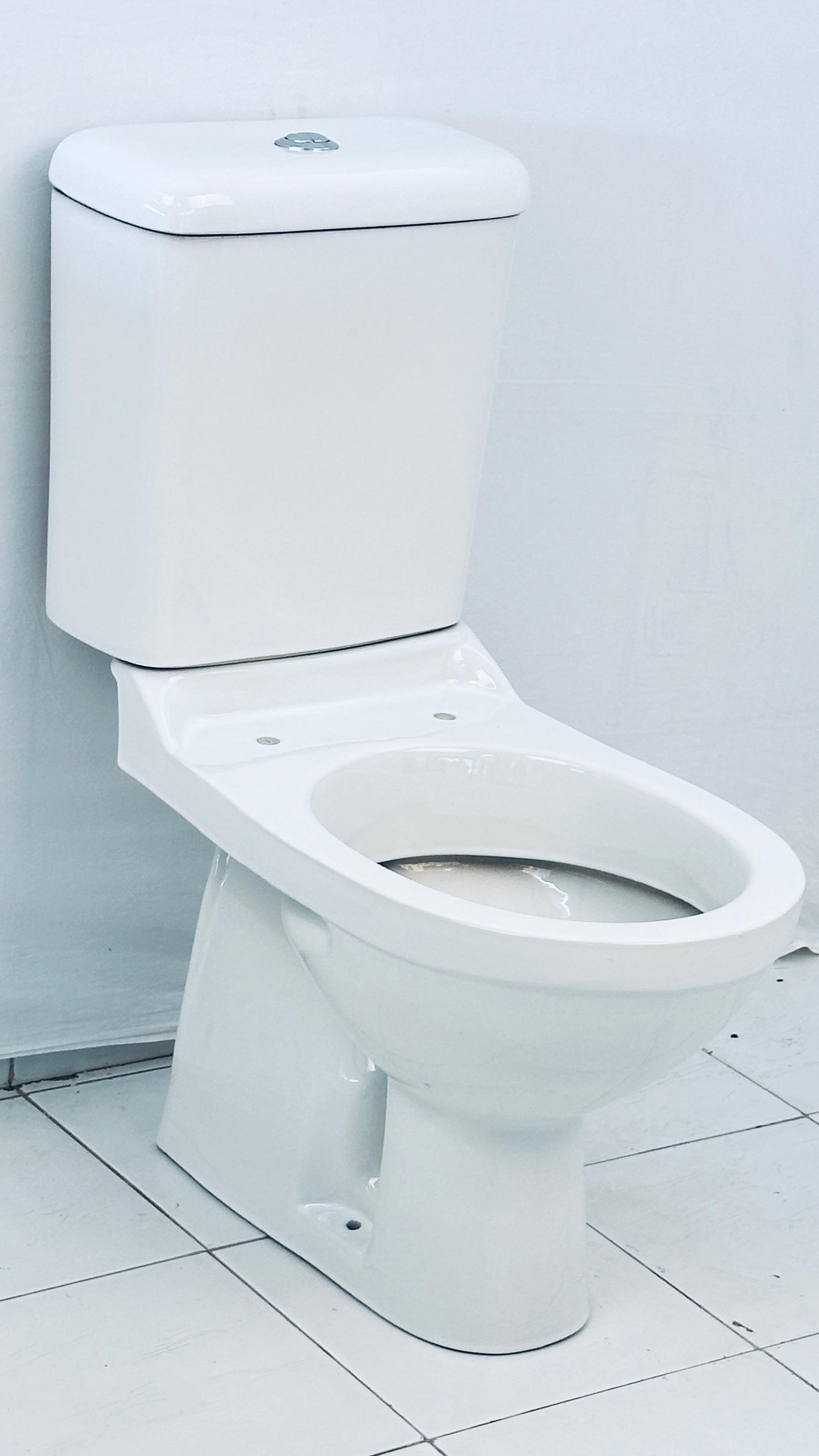 One Piece Toilet - Elegant Ceramic Design | Space-saving, Easy-to-clean, Modern Flush Technology