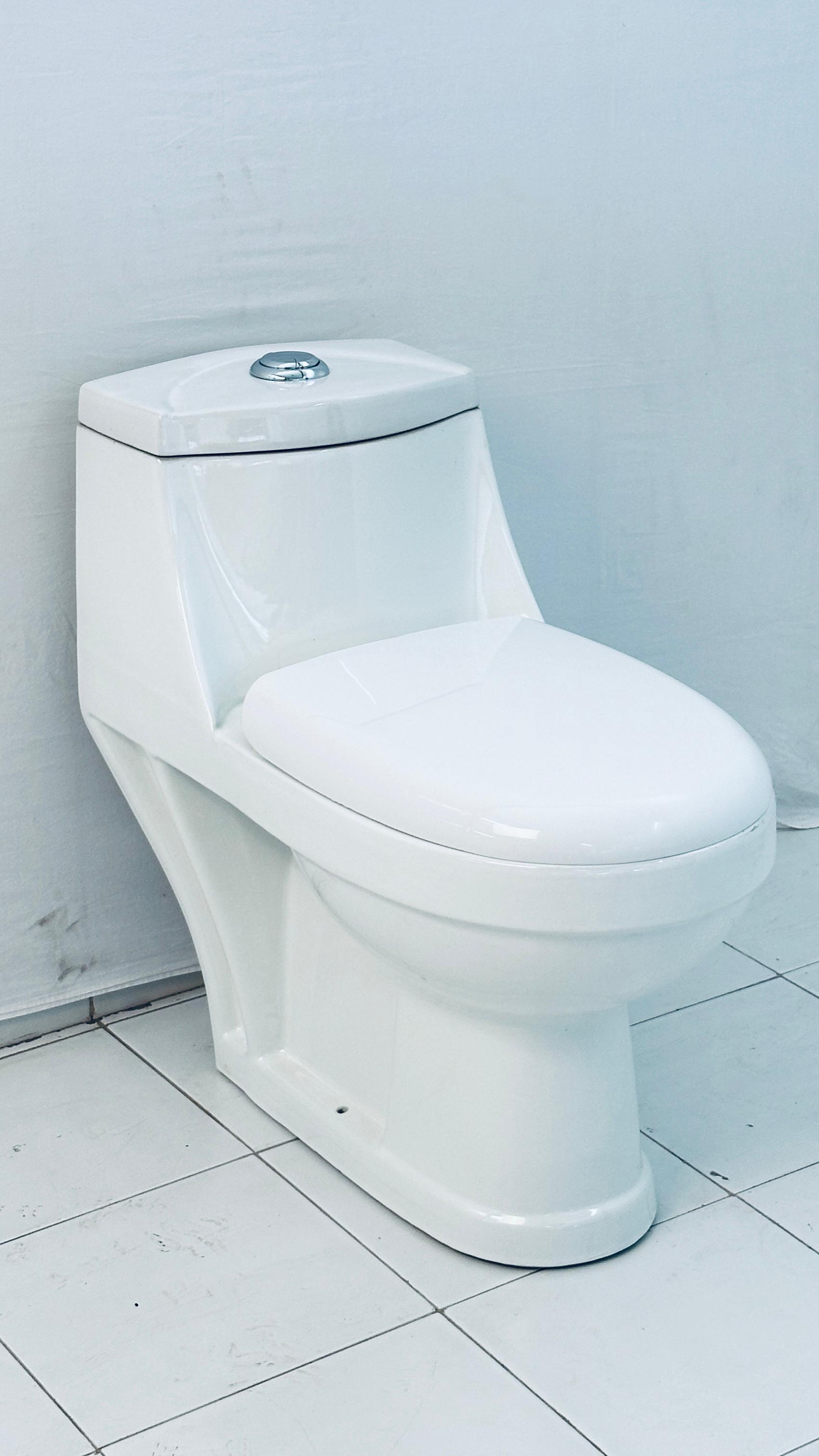 Round One Piece Toilet