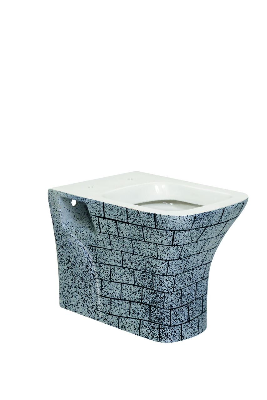 White Wall Hung Water Closet