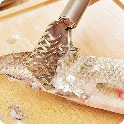 Mitsico Stainless Steel Fish Scale Remover Fish Scaler/Fish Scale Remover Fish Cleaning Tool