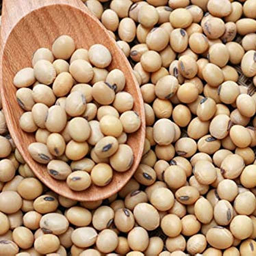 Soybean Seeds - Cultivation Type: Common