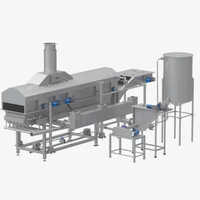 Continuous Potato Chips Fryer - Capacity: 100 Kg/hr Kg/hr