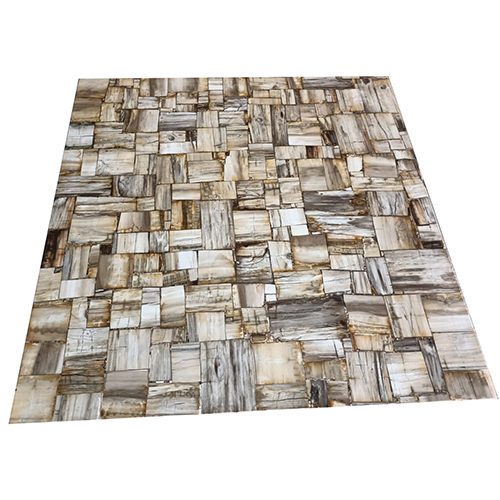 Petrified Wood Retro Table Top