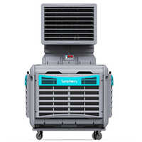 Symphony Air Cooler - Frequency: 50 Hertz (hz)