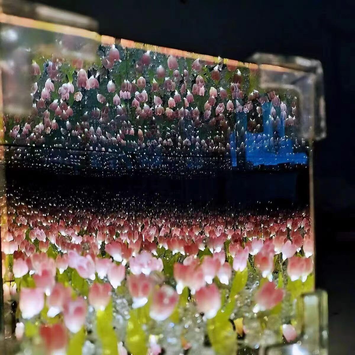 Cube Tulip Lamp - Acrylic, 12x12x12 Inches | Unique Personalized Lighting, 2-in-1 Tulip Flower Mirror, Diy Decorative Experience