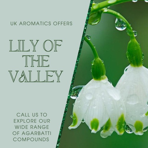 Lily of the valley Fragrance