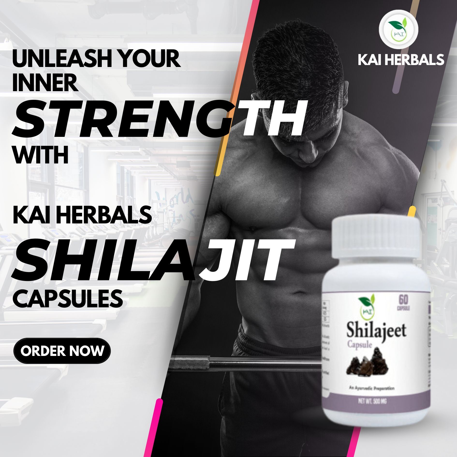 Shilajeet Capsule