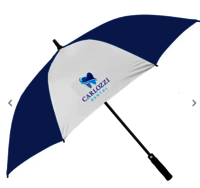 Two Fold Umbrella