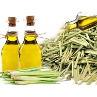 Lemon Grass Oil