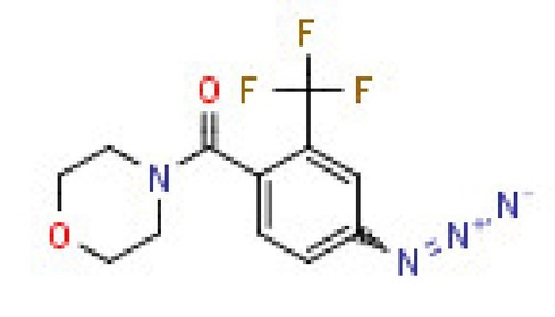 4-[4-Azido-2-(trifluoromethyl)benzoyl] morpholine