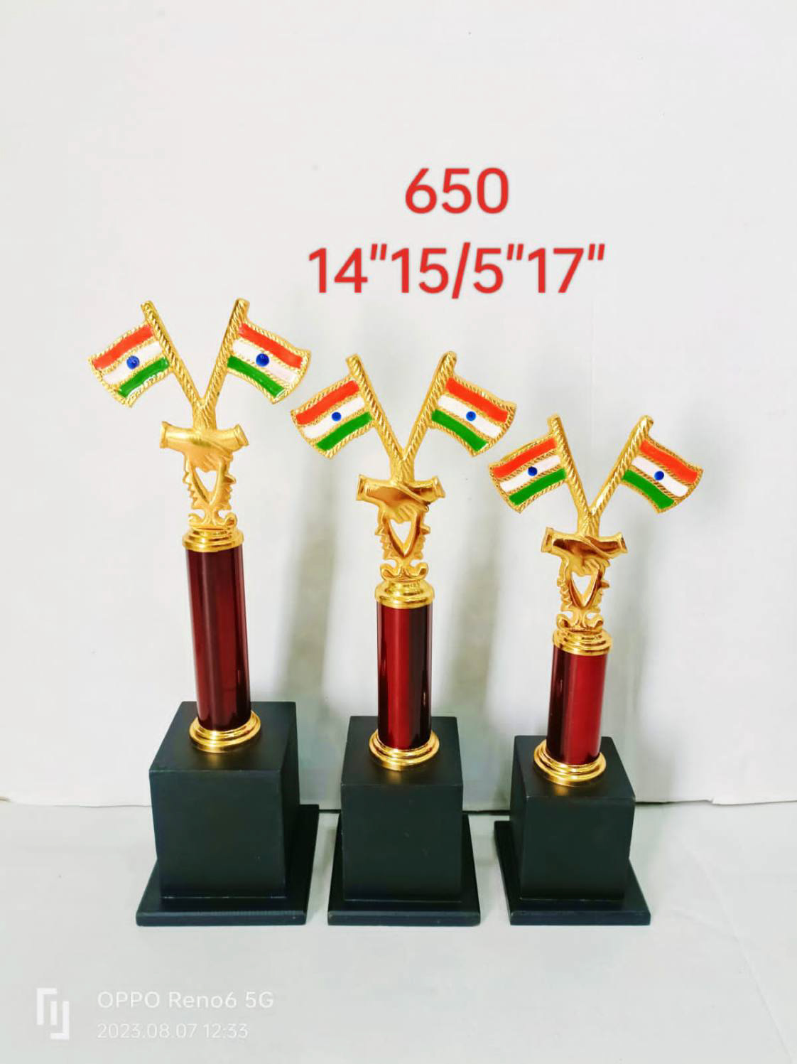 Trophy Award For Indian Army | Indian Flag #650