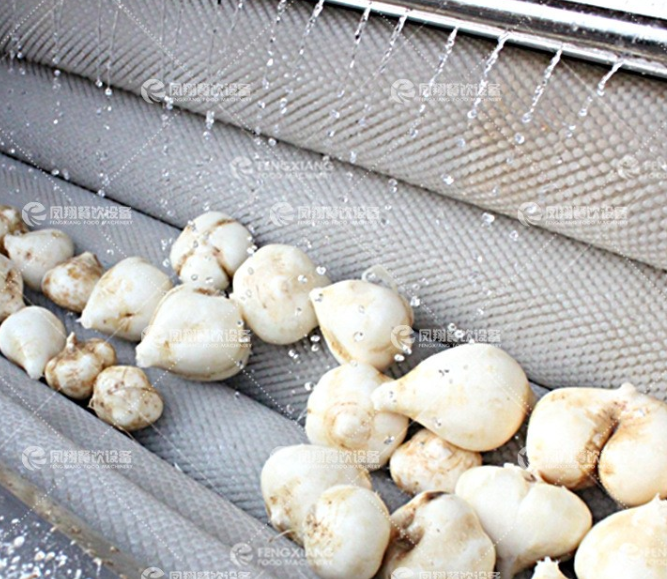Automatic Washing And Peeling Machine Potato Cassava Fish Washing Peeling Machine Peeler - Feature: High Efficiency