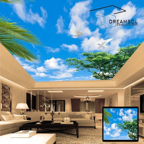 Dreamsol Stretch Ceiling