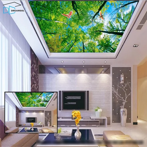 3d Stretch Ceiling