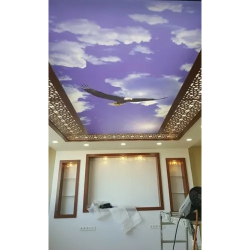 3D LED Light Stretch Ceiling Service