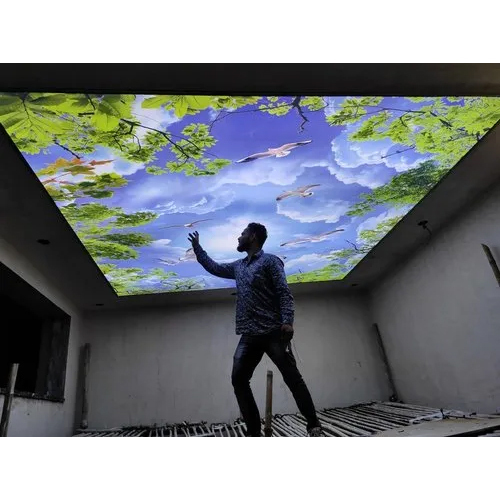 Bedroom Skylight Stretch Ceiling Service