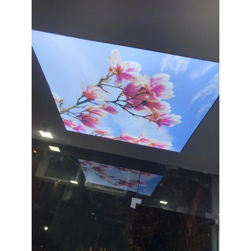 3D Natural Stretch Ceiling Service