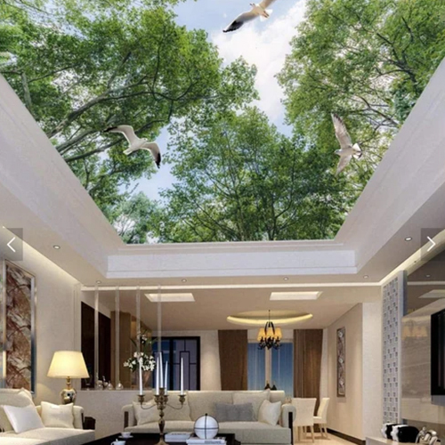 3D Sky Cloud Stretch Ceiling Service