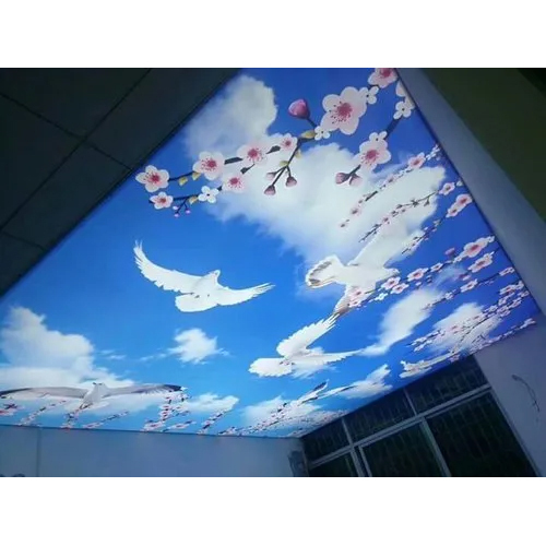 Balcony Skylight 3D Stretch Ceiling Service