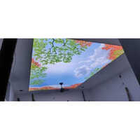Pvc Coated Stretch Ceiling Service