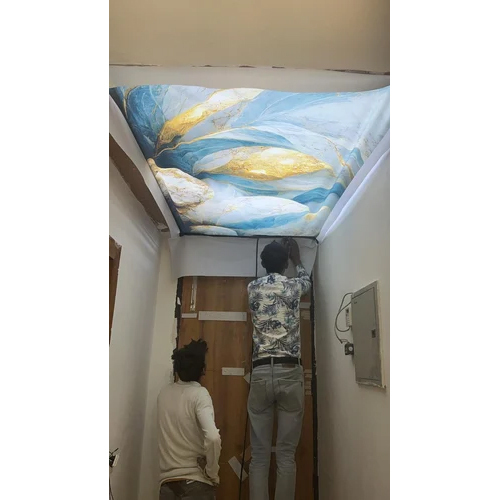 Interior 3D Stretch Ceiling Service