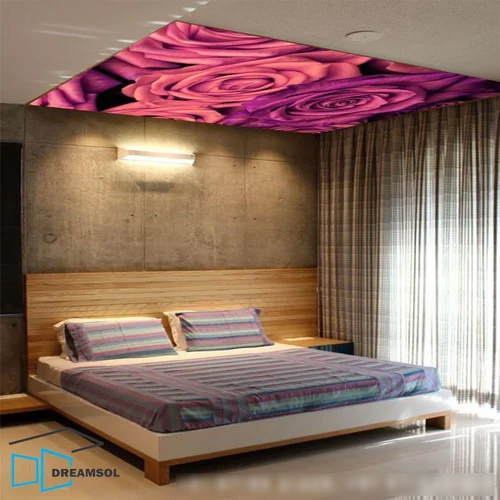 Designer Wall Ceiling Mural