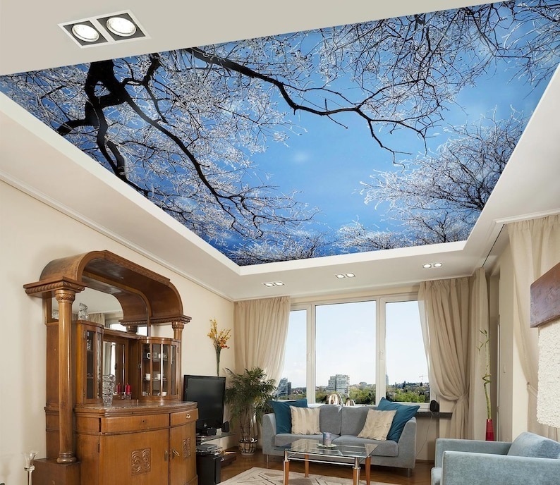 Stunning Look Printed Stretch Ceiling