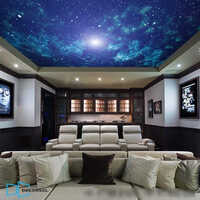 Home Theatre Star Ceiling Optic Fiber Light - Pvc Material, Smooth Finish, Soothing Blue Color | Easy Installation, Minimal Maintenance