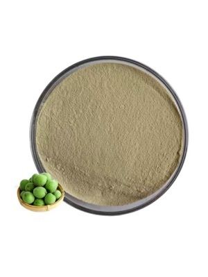 Green plum juice powder