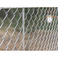 Galvanized Iron Chain Link Fencing - 25x25 Mm, Silver Color, 50-100 Meter Length, 2.50-4 Mm Width, Binding Wire Fittings | Durable Industrial Solution
