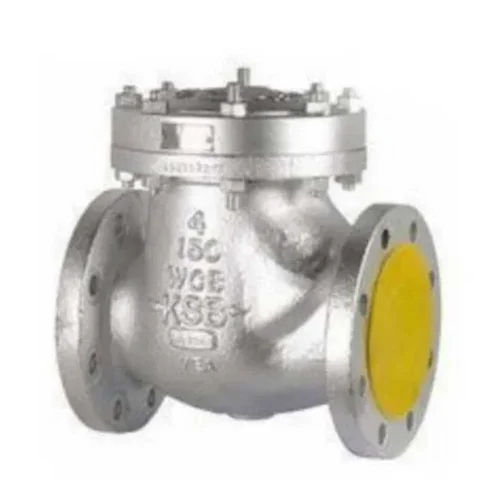 KSB Check Valve