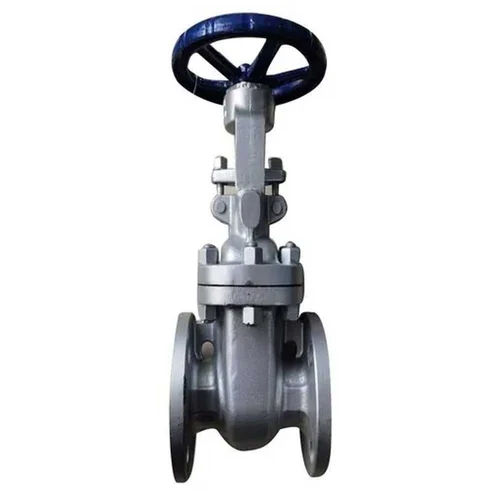 Carbon Steel Gate Valve - Color: Silver